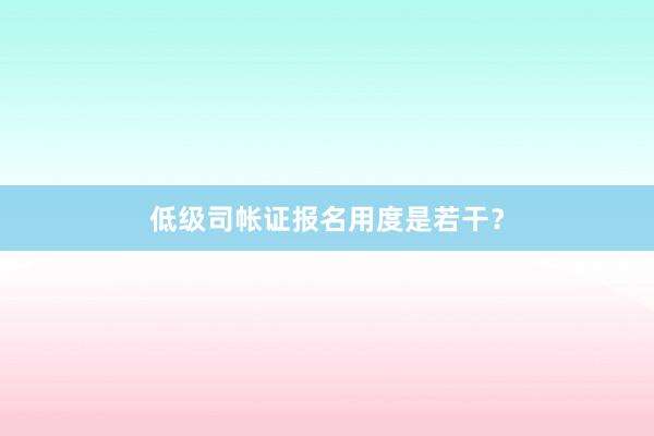 低级司帐证报名用度是若干？