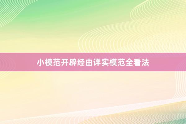 小模范开辟经由详实模范全看法